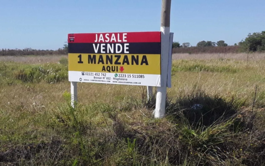 Lote en venta, camino al «Balneario de Magdalena» – Partido de Magdalena