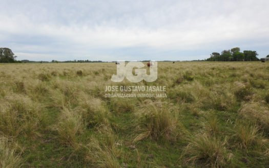 7 has camino Atalaya, Partido de Magdalena