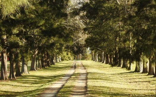 65 has Casco de Estancia en venta- Magdalena, Buenos Aires