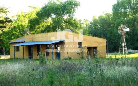 94 has ganaderas – Pipinas, Pdo Punta Indio, Bs As