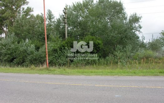 3 Has Apto emprendimiento – Pdo de Magdalena, Buenos Aires