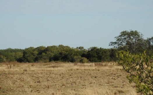 15 has mixto – Atalaya, ptdo de Magdalena, Buenos Aires