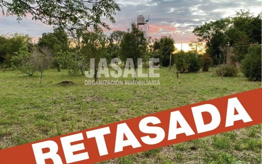 2.1 has – Atalaya, Magdalena, Buenos Aires