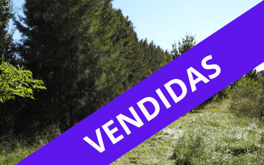 4 has con casa – Magdalena, Buenos Aires