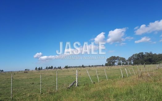 4 Has Ganaderas – Magdalena, Buenos Aires