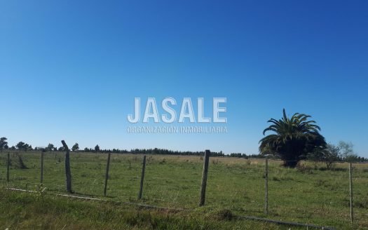 6.5 Has Ganaderas – Magdalena, Buenos Aires