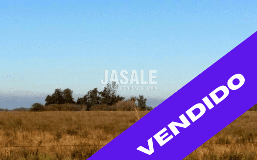 30 has Mixtas – R. Payró, Pcia. Buenos Aires-VENDIDAS-