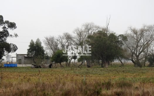 63 has Mixtas – Magdalena, Buenos Aires