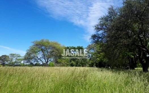 Lote de 5.000 mts – Atalaya, Magdalena, Buenos Aires