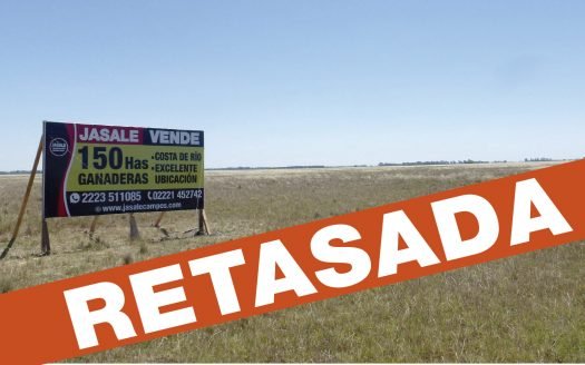 150 has ganaderas – Chascomús, Buenos Aires