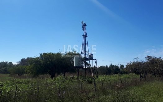 4 has – Magdalena, Buenos Aires