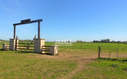 14 Has en venta – I. Correa, La Plata, Buenos Aires