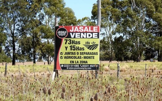 73 has y 15 has en venta – Magdalena, Buenos Aires