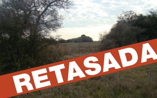 94 Has Ganaderas en Punta Indio, Provincia de Buenos Aires