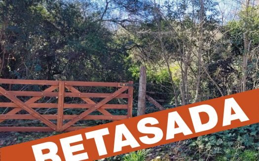 Lotes en venta – Punta Indio, Buenos Aires