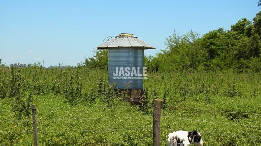 29has Agricolas Venta Altamirano Brandsen