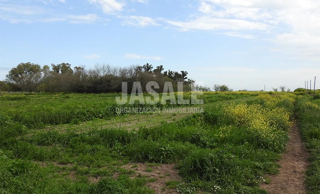 7has apto invernáculos Venta Los Hornos
