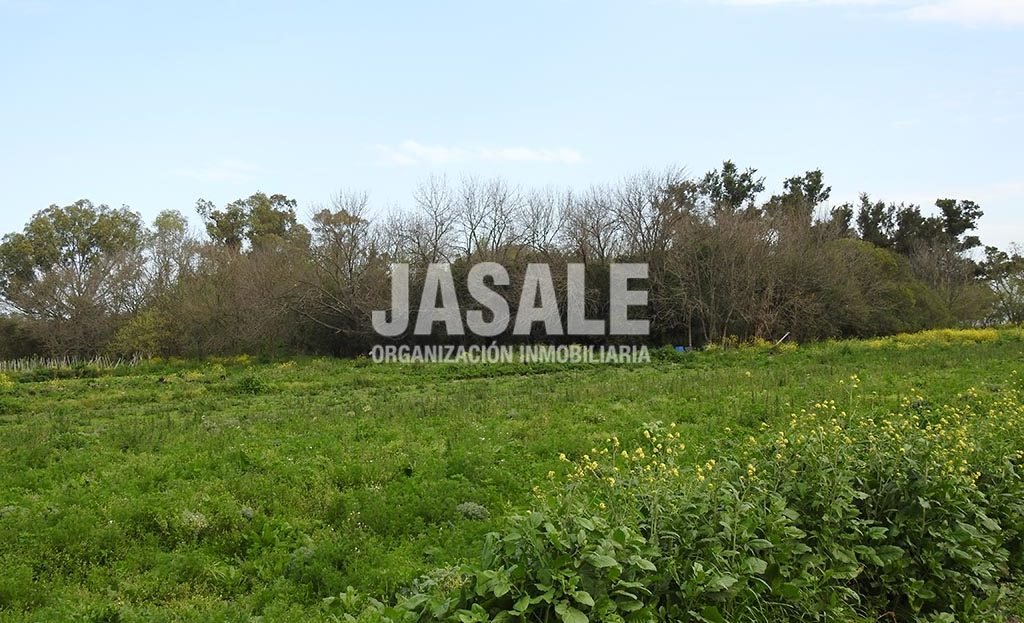 7has apto invernáculos Venta Los Hornos