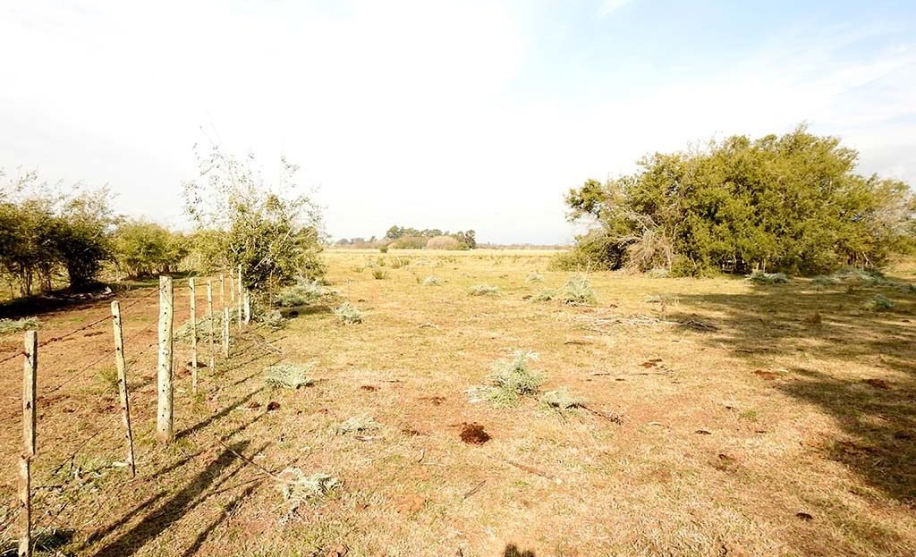 70 has Agro-ganadero en Arditi
