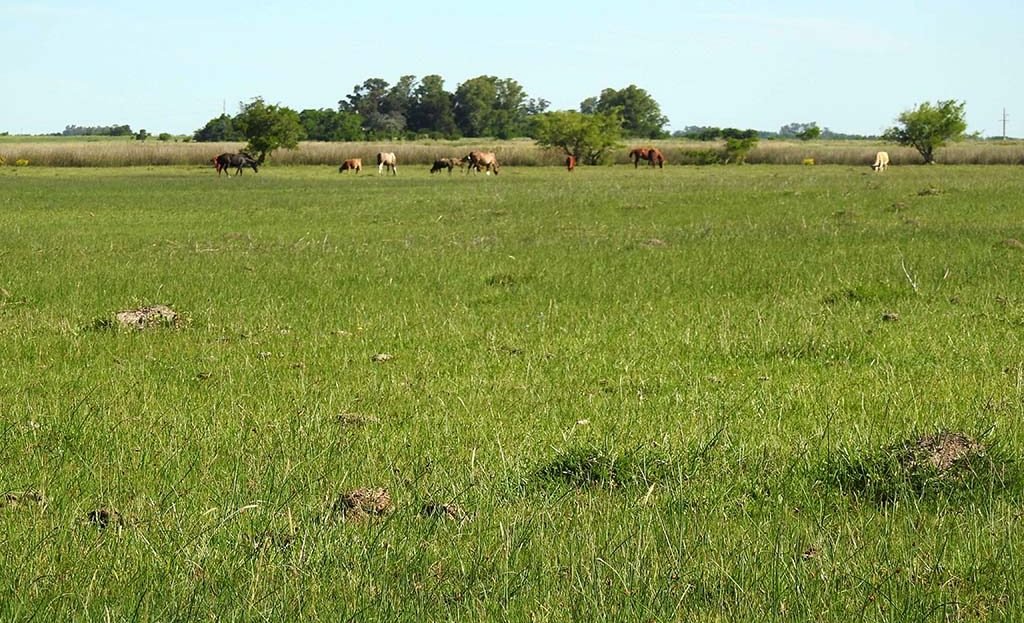 Caballos 11.5has apto quinta fin de semana