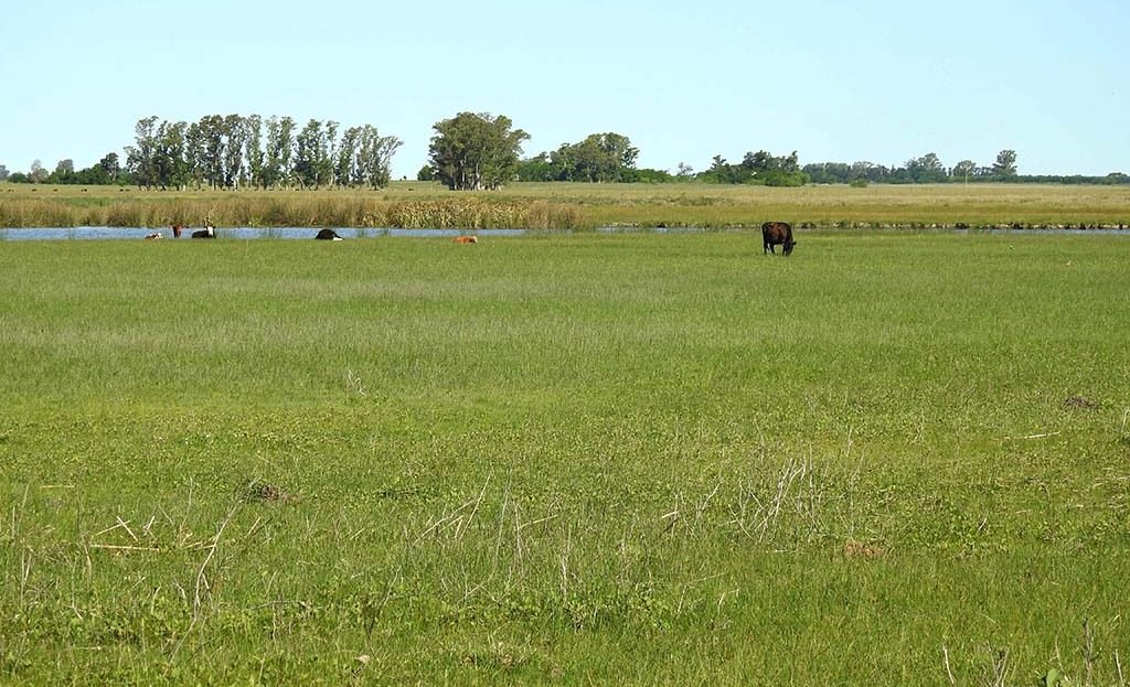 11.5has apto quinta fin de semana