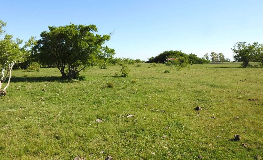 11.5has apto quinta fin de semana