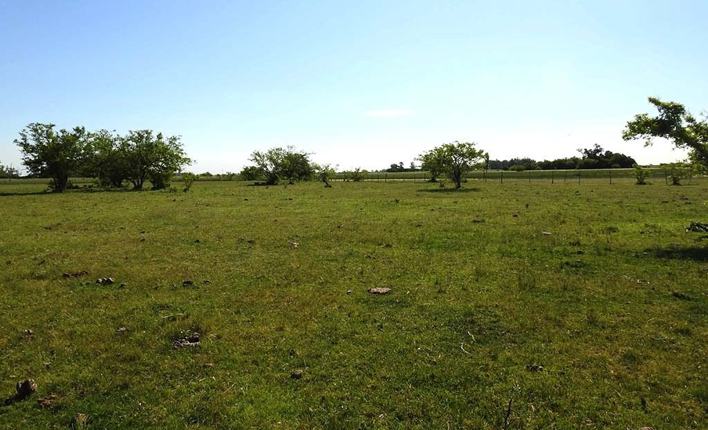 11.5has apto quinta fin de semana