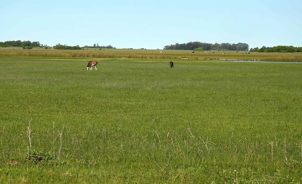 11.5has apto quinta fin de semana