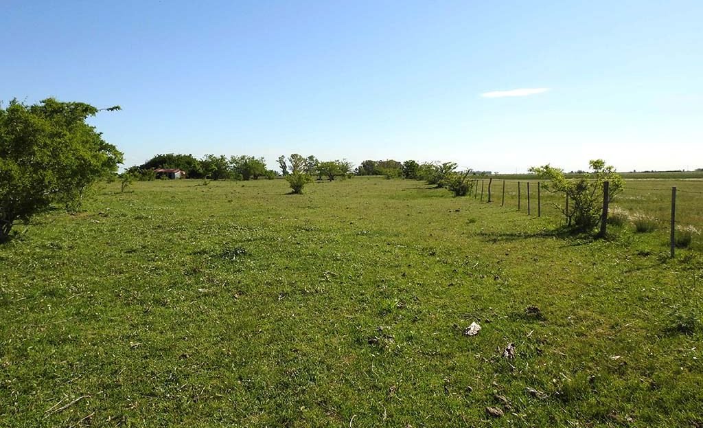 Campo casa a lo lejos 11.5has apto quinta fin de semana