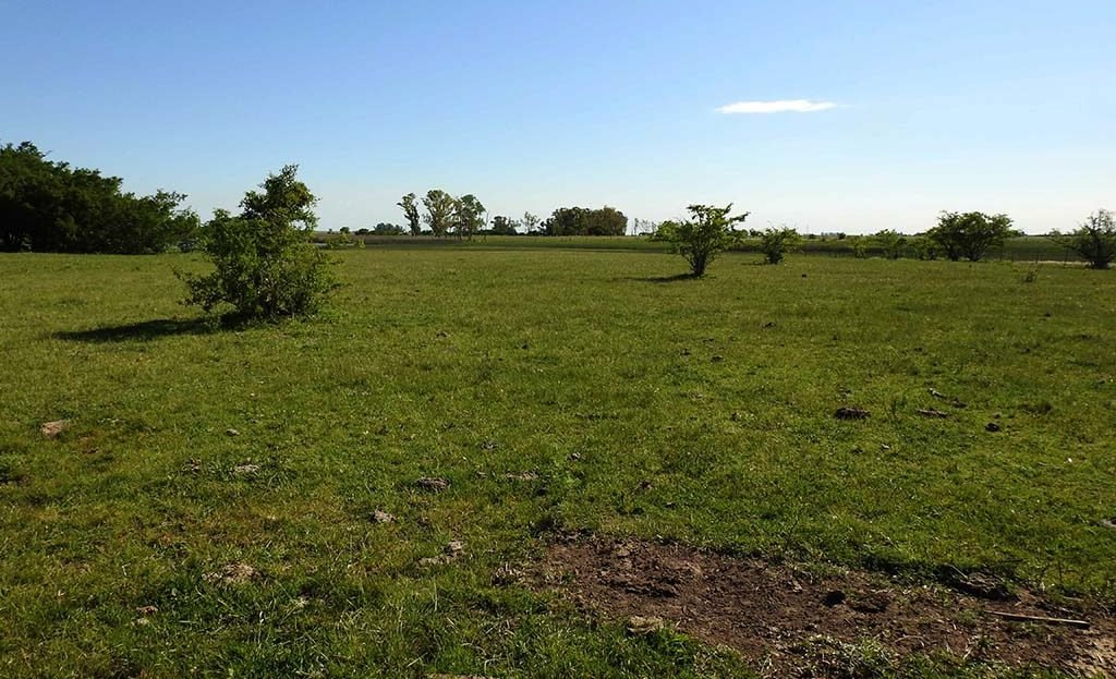 11.5has apto quinta fin de semana