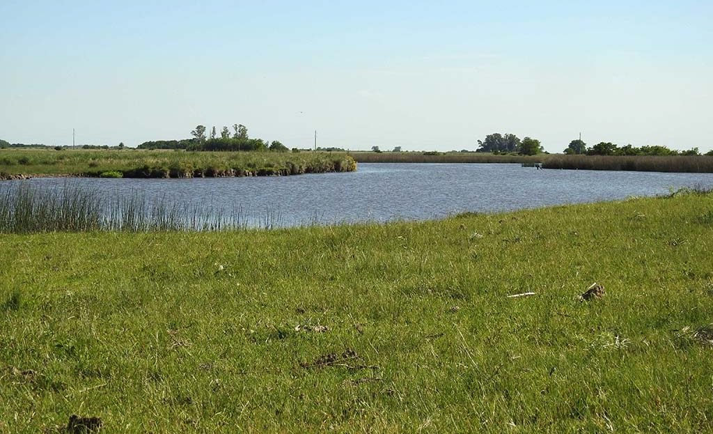 Arroyo 11.5has apto quinta fin de semana