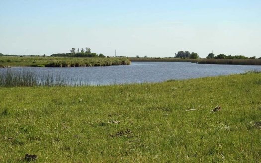 11.5 has apto quinta fin de semana en venta – Bavio, partido de Magdalena, Buenos Aires