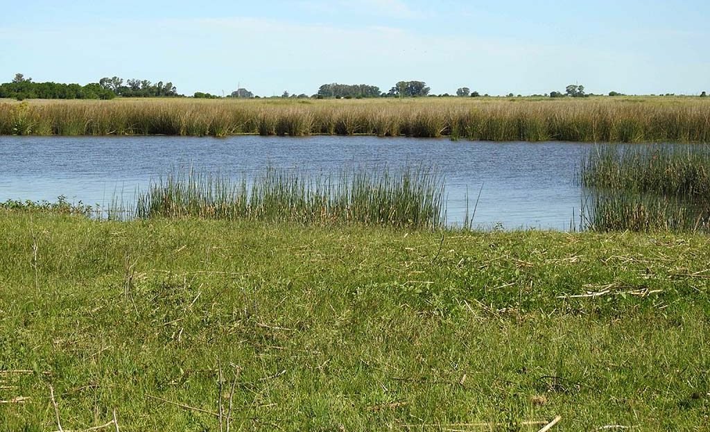 11.5has apto quinta fin de semana