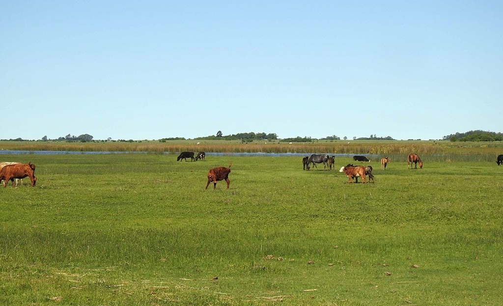 11.5has apto quinta fin de semana