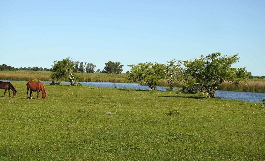 11.5has apto quinta fin de semana