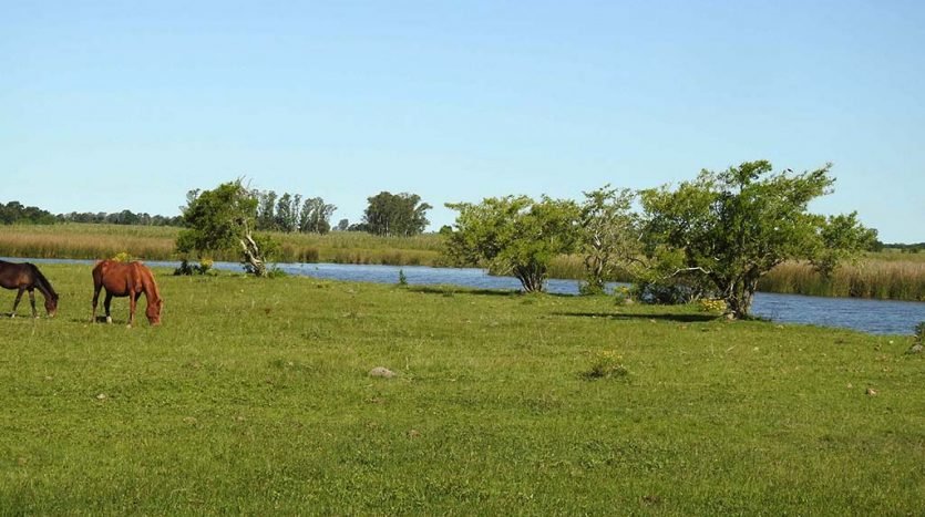 11.5has apto quinta fin de semana