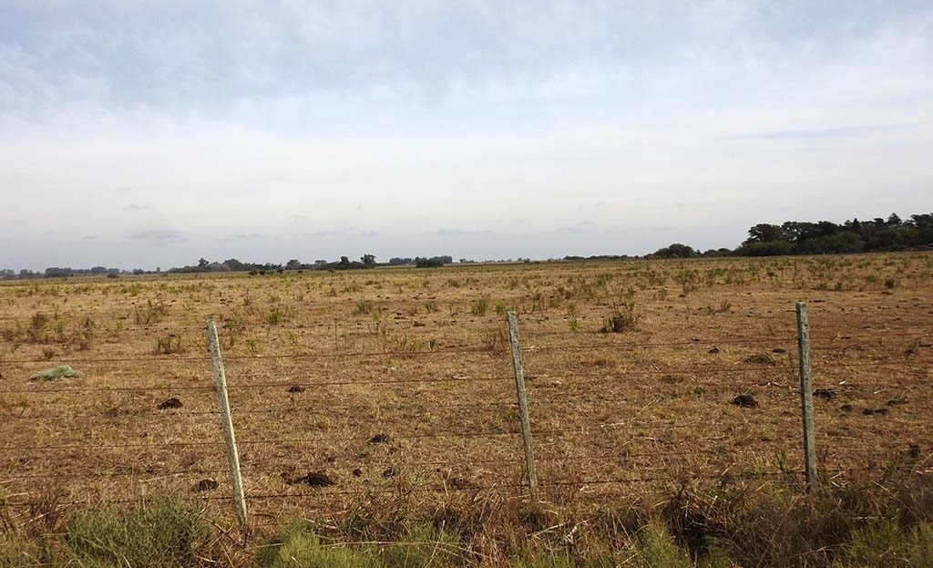 70 has Agro-ganadero en Arditi
