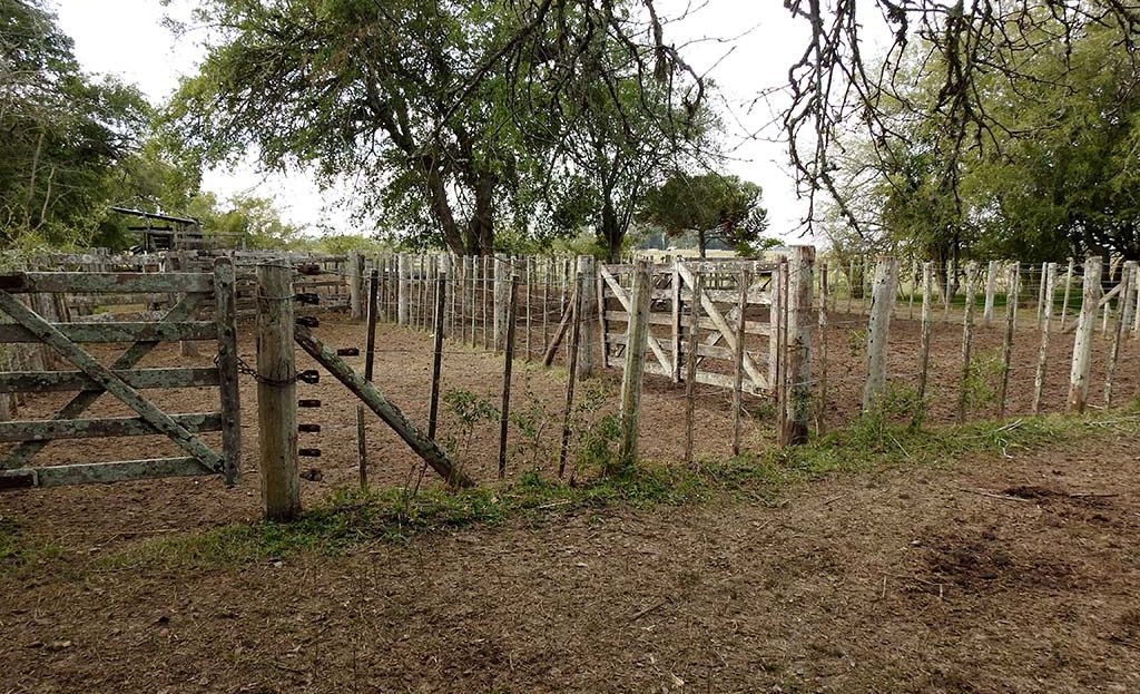 Corrales Frente 70 has Agro-ganadero en Arditi