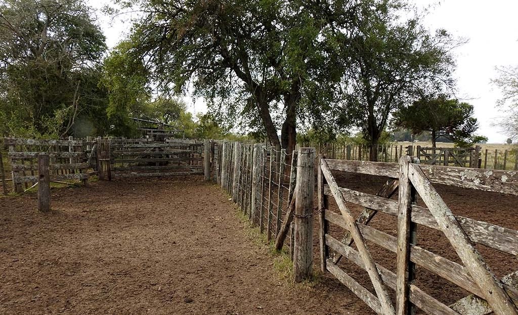 Manga y corrales 70 has Agro-ganadero en Arditi