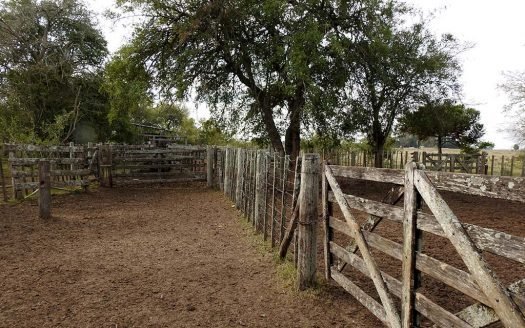 66 has Agro ganadero en venta – Arditi, partido de Magdalena, Buenos Aires