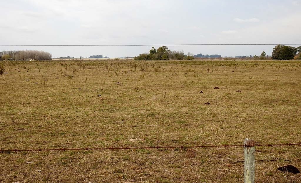 70 has Agro-ganadero en Arditi