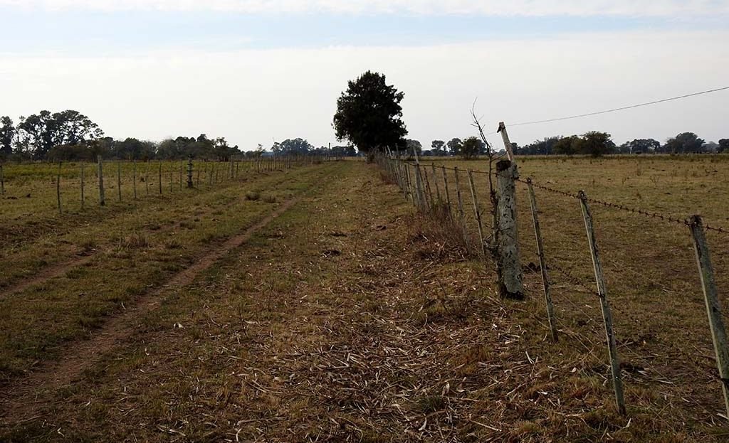 Calle interna70 has Agro-ganadero en Arditi