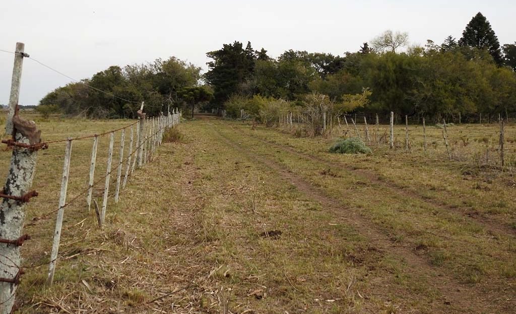 Calle interna 70 has Agro-ganadero en Arditi