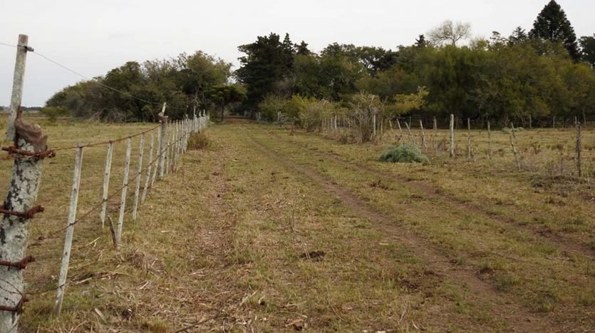 Calle interna 70 has Agro-ganadero en Arditi