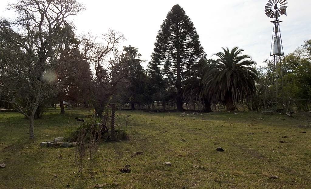 Arboleda y molino 70 has Agro-ganadero en Arditi