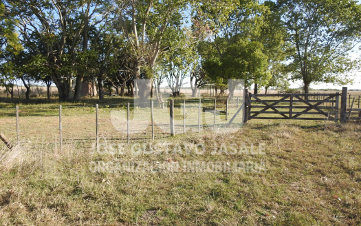 Jasale vende 45 has en Ignacio Correas, La Plata