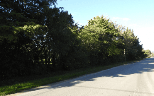 Jasale vende LOTES en Magdalena