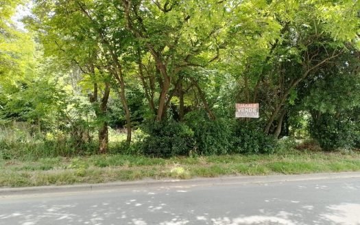 Jasale VENDE terreno en Magdalena