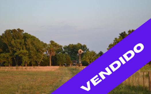 VENTA 35has Agricolas en Arditi, ptdo de Magdalena