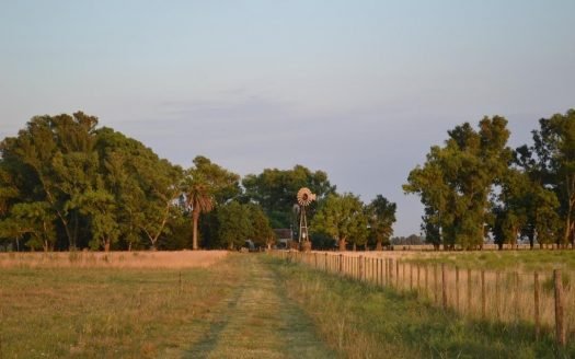 VENTA 35has Agricolas en Arditi, ptdo de Magdalena